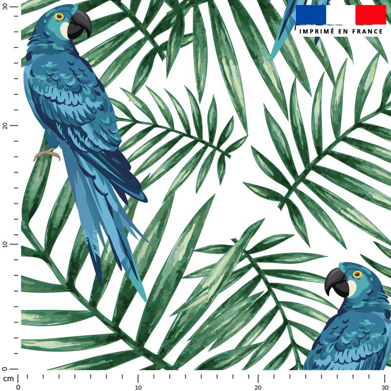 Perroquet bleu et feuille tropicale - Fond blanc