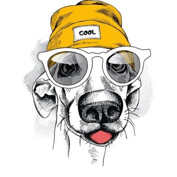 Motif thermo adhésif n°82 chien bonnet cool
