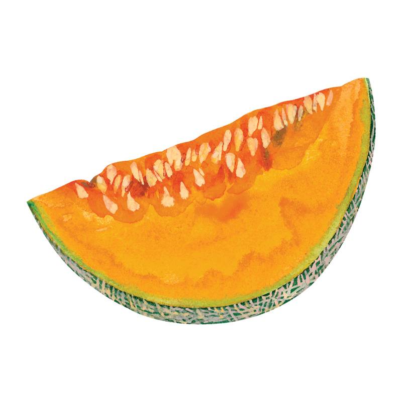 Coupon 45x45 cm motif melon aquarelle