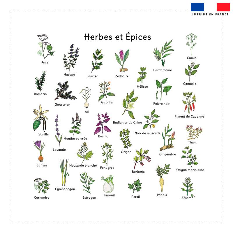 Coupon 45x45 cm motif herbes aromatiques et épices vertes