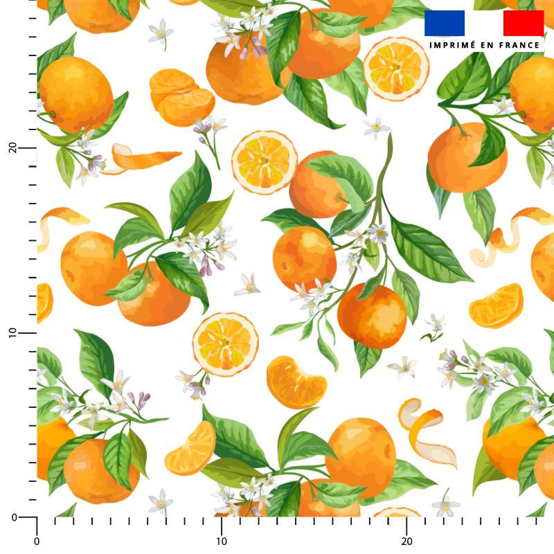 Oranges et fleurs d'oranger - Fond blanc