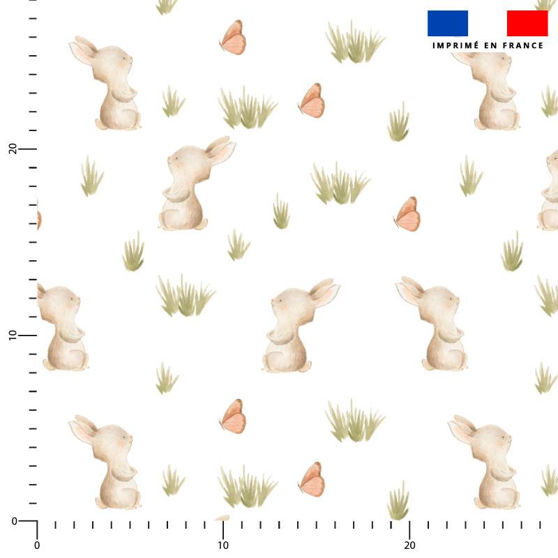 Lapin des bois jolis - Fond blanc